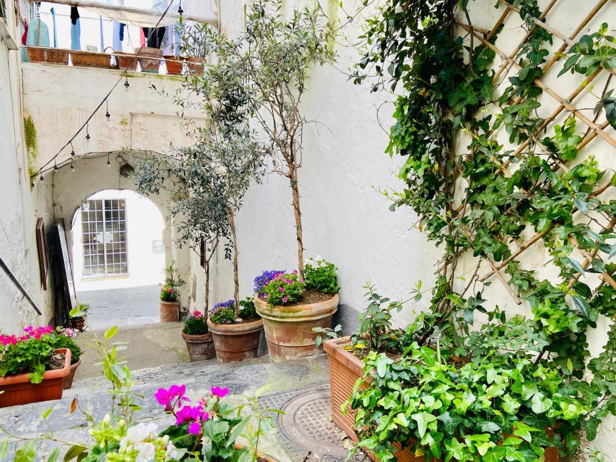Casa Viggiano In The Heart Of Amalfi Διαμέρισμα Εξωτερικό φωτογραφία